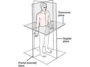 Law 4 - Develop All Movement Planes and Patterns.