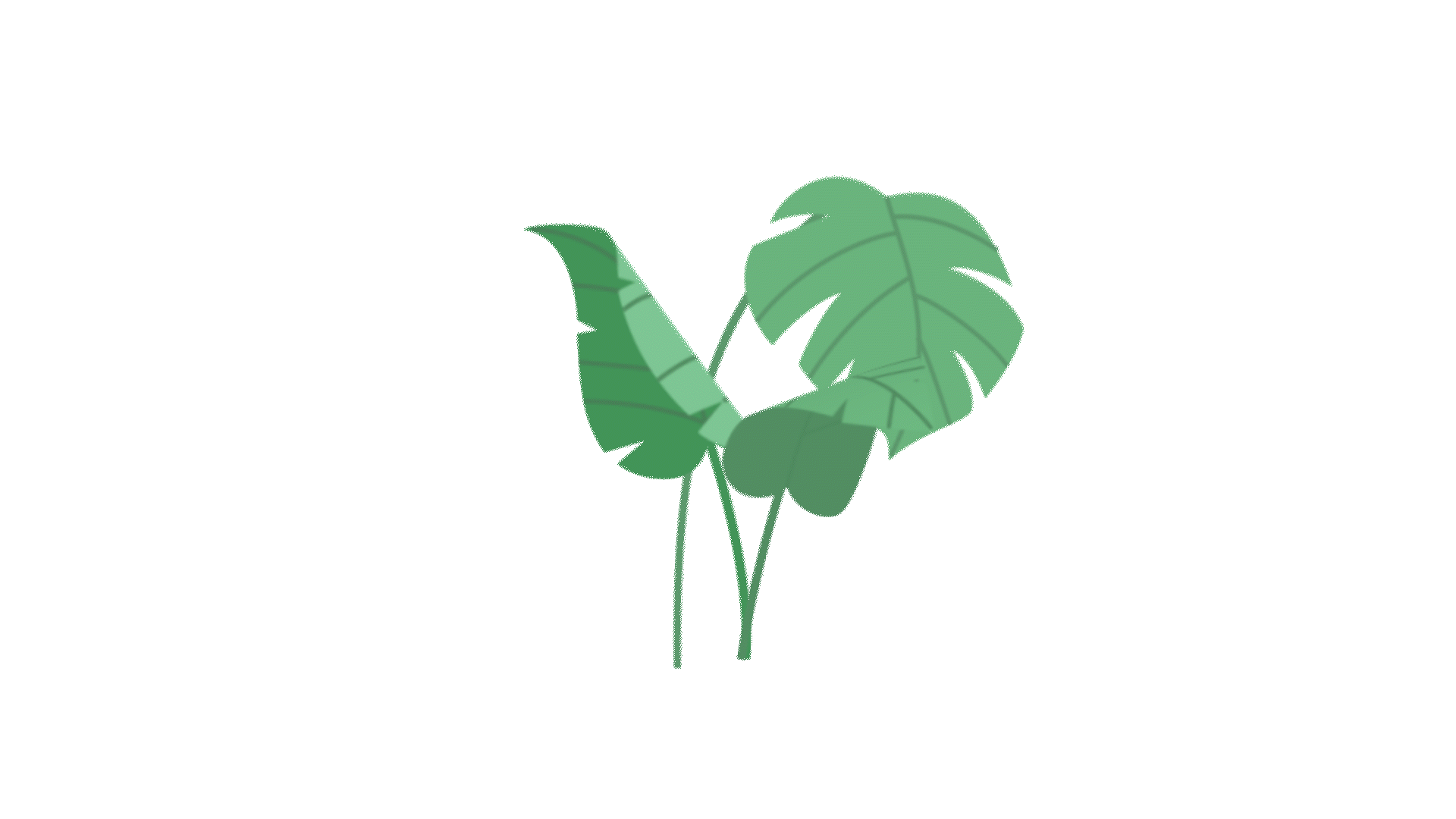 Swaying Palm Leaves.gif