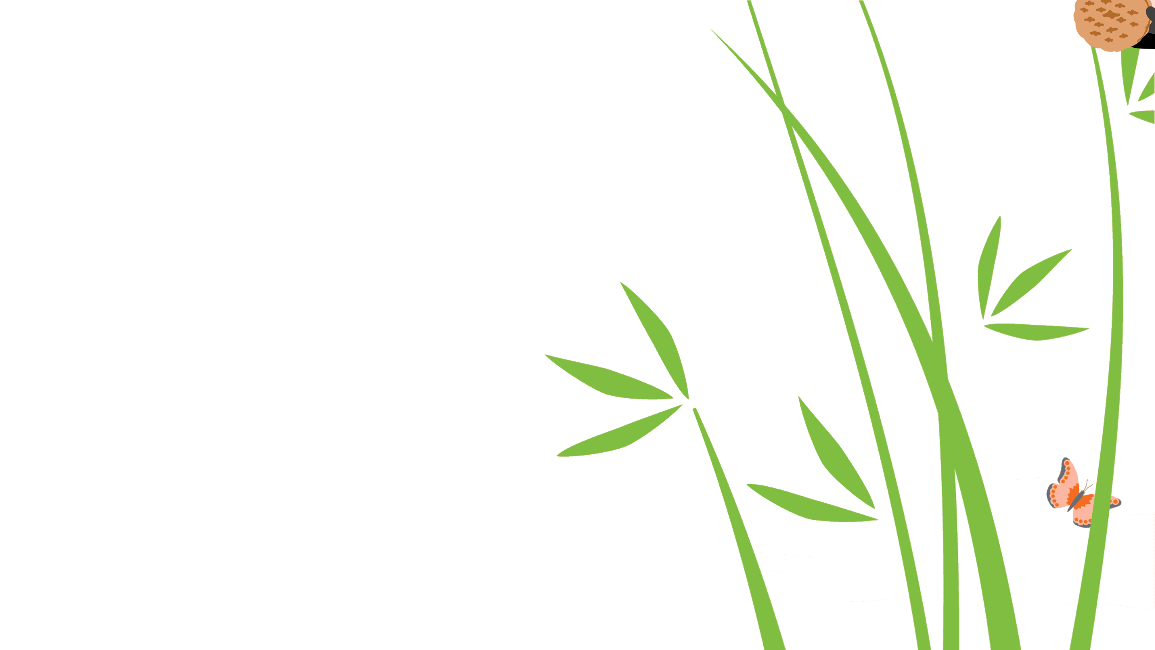 TY.gif