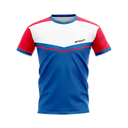 POLO SANS BOUTON dos.png