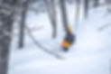 20230203-cdouloir-dblueberries-64.jpg
