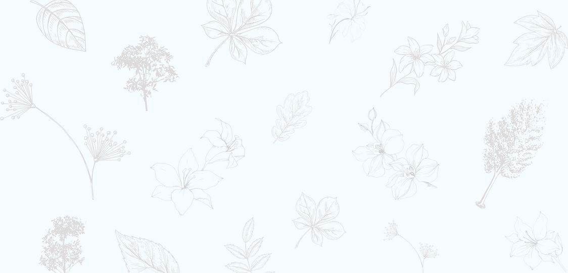 CONTENIDO PAG WEB (4).png