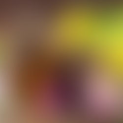 Aromaterapia: Conheça o poder dos óleos essenciais