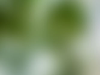 コロナな日々に