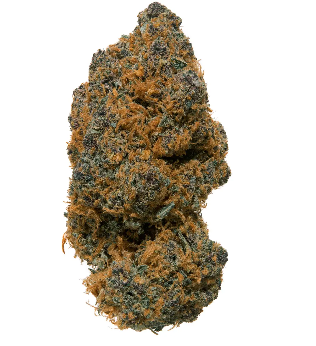 TKO Reserve Panther Funk | Indoor Delta-8 Flower