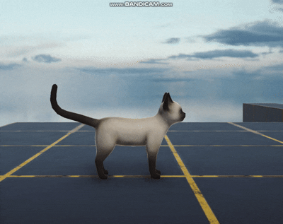 cat run.gif