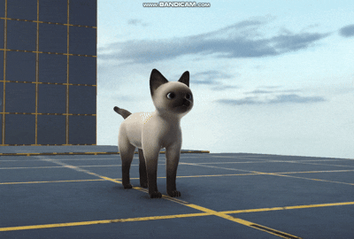 cat yarn.gif