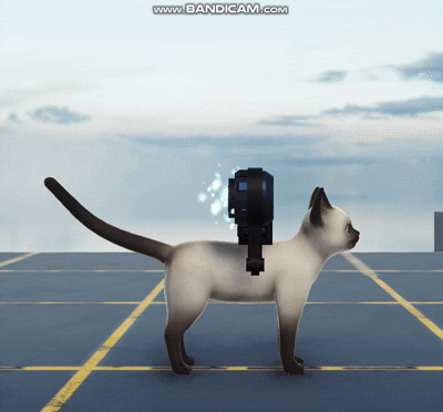 cat jump.gif