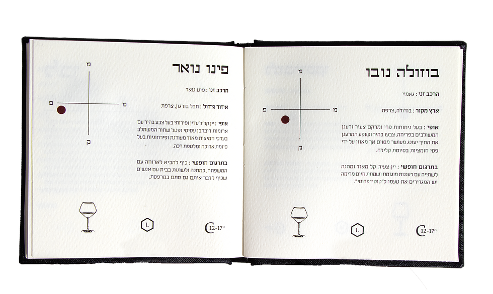 _MG_6490 ערוך שקוף.jpg.png