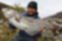 310671678_469696898529464_562228606430778637_n.jpg_stp=dst-jpg_p180x540&_nc_cat=107&ccb=1-