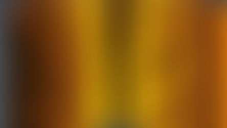 Kartproduksjon med Simrad StructureScan 3D