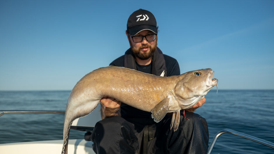 10-graderen - Nye Daiwa Saltiga LD innfrir