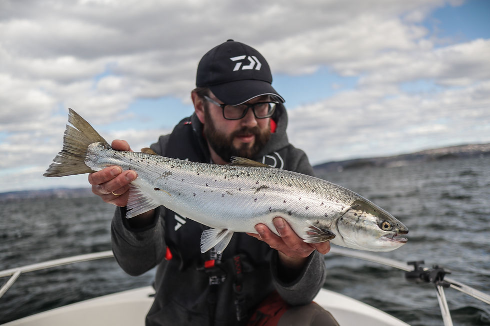 Oslofjorden på sitt beste. Sjøørret av dette kaliberet er dessverre ikke ofte man får i fjorden lenger. Nullfiskeområder vil gi sjøørreten bedre muligheter for å vokse seg større i form og antall.