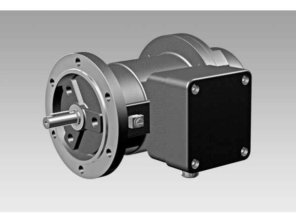 BAUMER HUBNER EEX GP 0.2