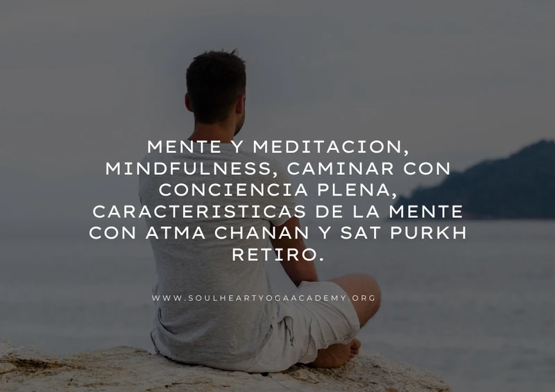 Mente y Meditacion, Mindfulness, Caminar con Conciencia Plena, Caracteristicas de la Mente con Atma