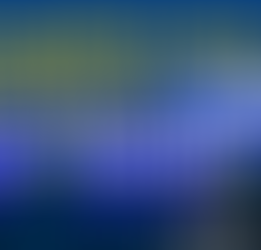 How capital structure decisions affect business flexibility and risk