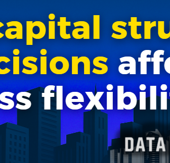 How capital structure decisions affect business flexibility and risk