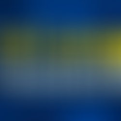 Natural Language Processing (NLP)