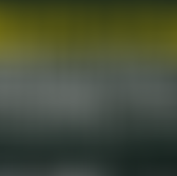 ACCOUNTS PAYABLE: Recording Purchases, Discounts, Cutoff