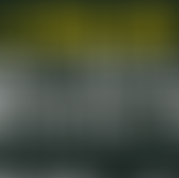 TRIAL BALANCE: Purpose, Structure, Adjustments, Errors