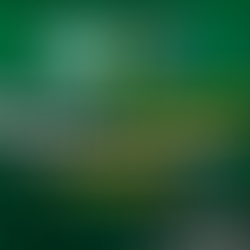 How Is ChatGPT Different from Google? A Deep Dive into Purpose, Capabilities, and Use Cases