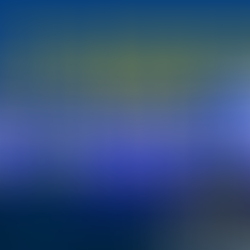 How to prepare the Balance Sheet (Statement of Financial Position) under IFRS and US GAAP