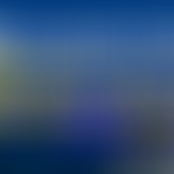 How Accounts Payable is Shown on the Balance Sheet