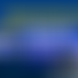 How Administrative Expenses Appear in the Income Statement