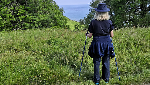 Salcombe Hill 3.jpg