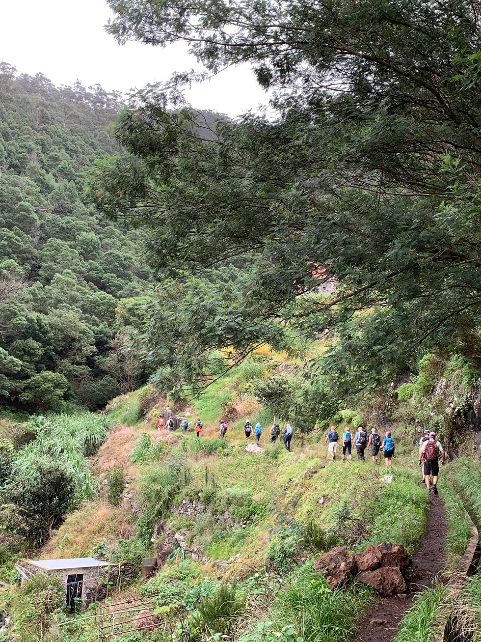 Hiking along a levada in Madeira with Explore Worldwide