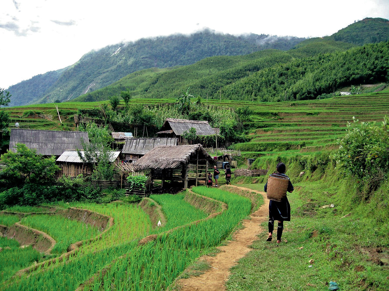 vietnam_northern_hills