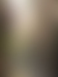 I travelled to Morocco on a premium adventure tour with Intrepid Travel and here's what I found