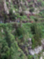 Hiking along a clifftop path in Madeira with Explore Worldwide