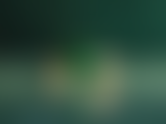 Emerald Jewelry: 5 Reasons to Choose Natural Elegance