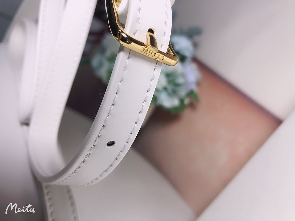 Thumbnail: Luxury Arc de Triomphe Double C buckle White Size 22x13x5cm