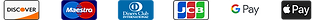 SSL SECURE ENCRYPTED PAY4.png