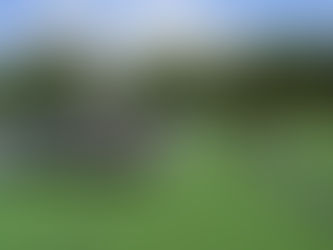 Het eerste kunstgras komt boven de grond.