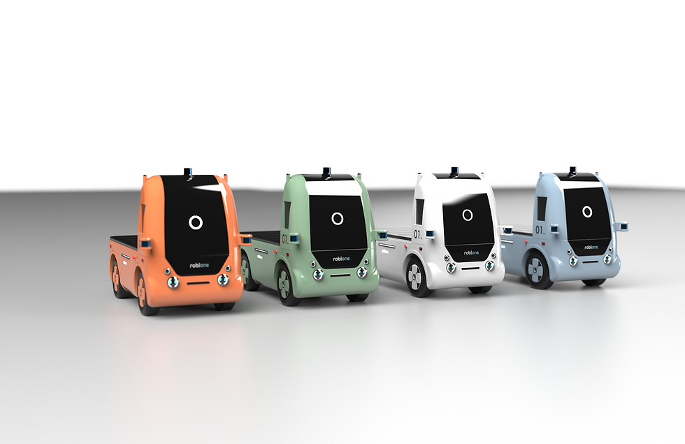 robione Series
