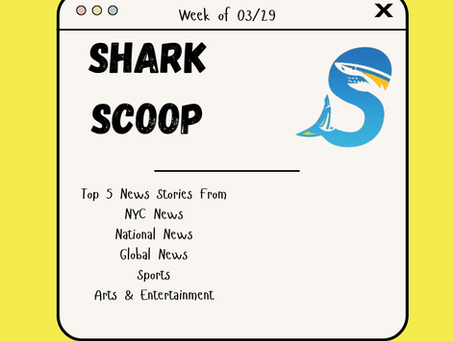 Shark Scoop - March 29,2026