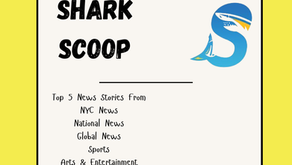 Shark Scoop - March 8, 2026