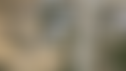 Satellite Images Unveil Horrifying Massacres on Sudanese Soil