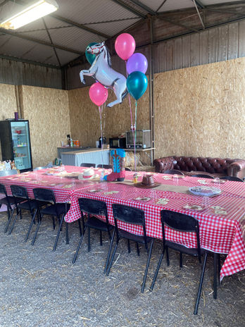 Educational Horse Riding Party