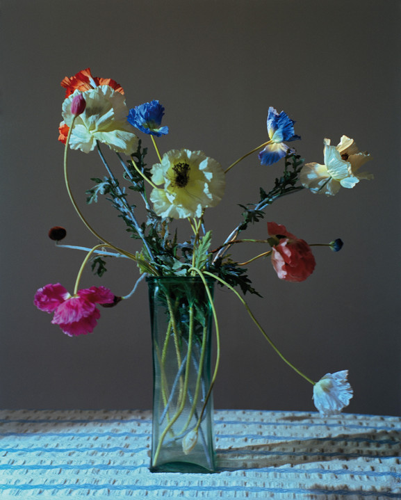 Untitled (Still Life), New York, 1998/2013