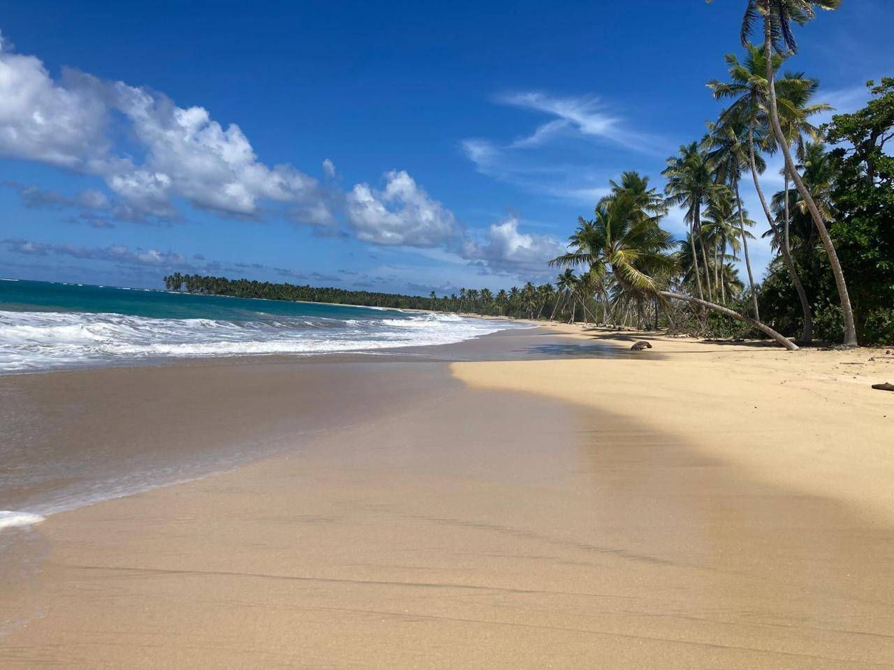 Oceanfront Land for Sale in El Limón, Miches