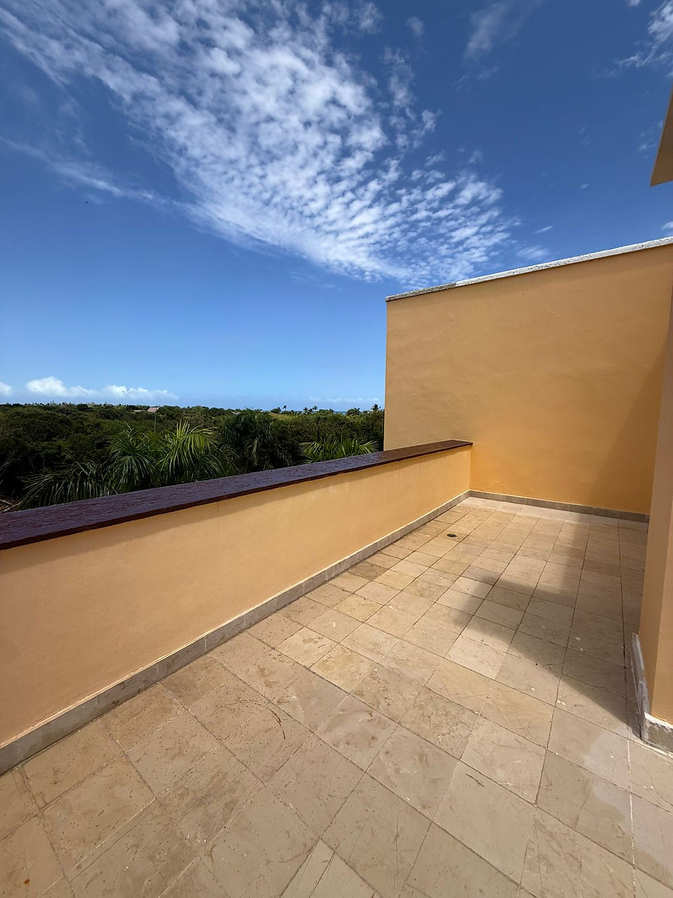 Miniatura: Luxury 1 Bedroom Apartment in Cap Cana