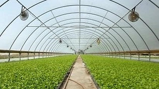 Afetten Etkilenen Kırsal Alanlarda Küçük Ölçekli Tarımsal Üretimler ile İklime Dayanıklı Modern Sera Projesi