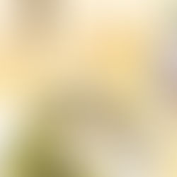 💕專屬於妳的貴婦下午茶💕