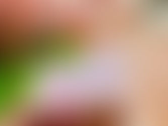 💞晶喜一直在,英為您值得💞