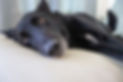 Doroty couch.jpg