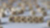 Untitled design_edited.jpg